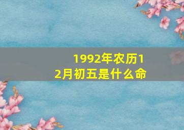 1992年农历12月初五是什么命