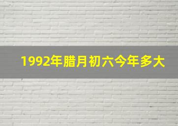 1992年腊月初六今年多大