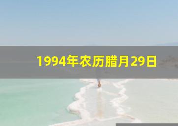 1994年农历腊月29日