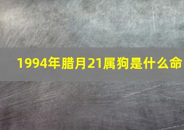 1994年腊月21属狗是什么命