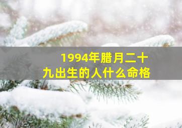 1994年腊月二十九出生的人什么命格