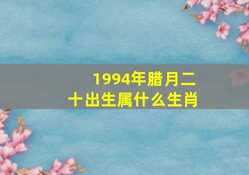 1994年腊月二十出生属什么生肖