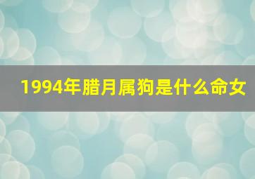 1994年腊月属狗是什么命女