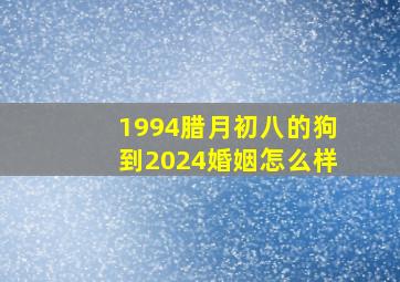 1994腊月初八的狗到2024婚姻怎么样