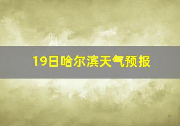 19日哈尔滨天气预报