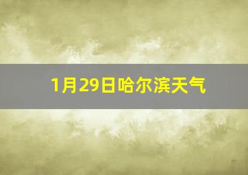 1月29日哈尔滨天气