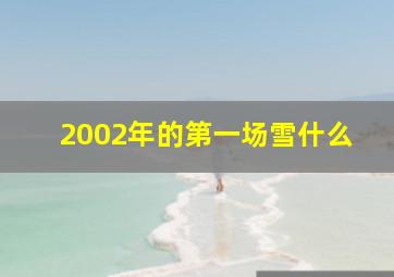 2002年的第一场雪什么