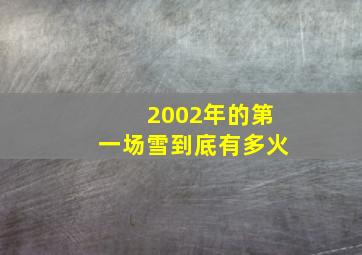 2002年的第一场雪到底有多火