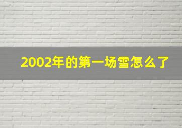 2002年的第一场雪怎么了