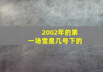 2002年的第一场雪是几号下的