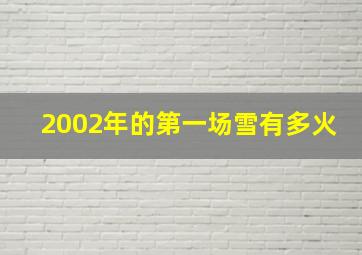 2002年的第一场雪有多火