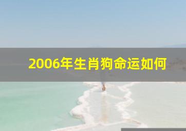 2006年生肖狗命运如何