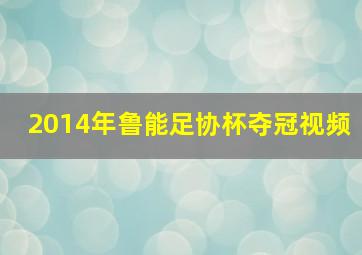 2014年鲁能足协杯夺冠视频