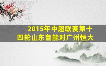 2015年中超联赛第十四轮山东鲁能对广州恒大