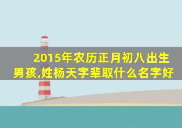 2015年农历正月初八出生男孩,姓杨天字辈取什么名字好