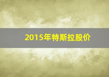 2015年特斯拉股价