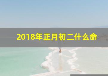 2018年正月初二什么命