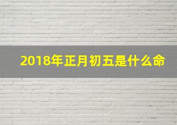 2018年正月初五是什么命