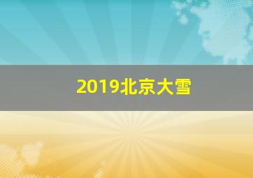 2019北京大雪