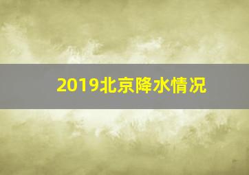 2019北京降水情况