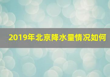 2019年北京降水量情况如何