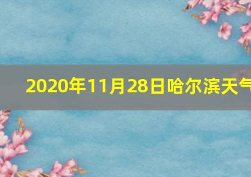 2020年11月28日哈尔滨天气