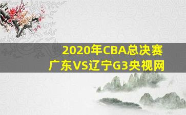 2020年CBA总决赛广东VS辽宁G3央视网