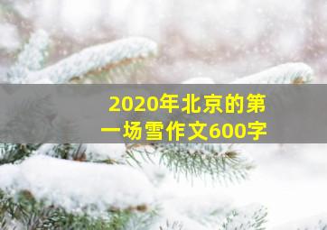 2020年北京的第一场雪作文600字