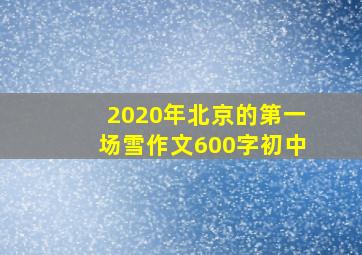 2020年北京的第一场雪作文600字初中