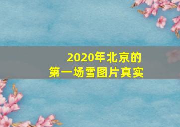 2020年北京的第一场雪图片真实