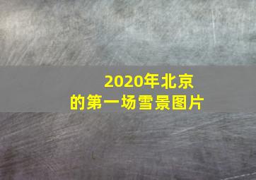 2020年北京的第一场雪景图片