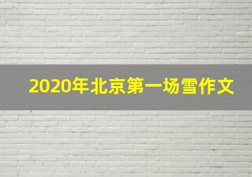 2020年北京第一场雪作文