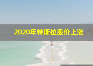 2020年特斯拉股价上涨