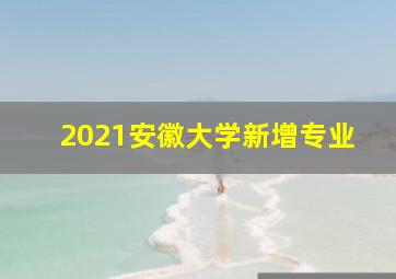 2021安徽大学新增专业