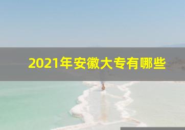 2021年安徽大专有哪些