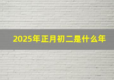 2025年正月初二是什么年