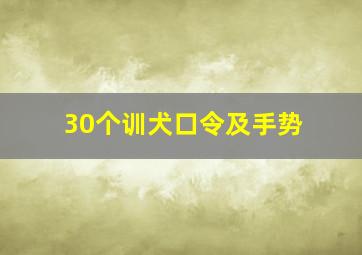 30个训犬口令及手势