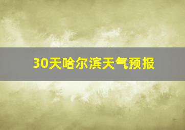 30天哈尔滨天气预报