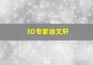 3D专家徐文轩