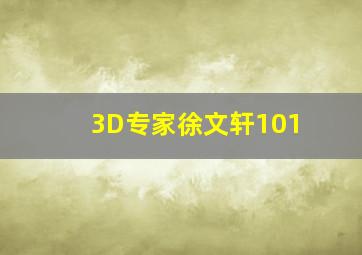 3D专家徐文轩101