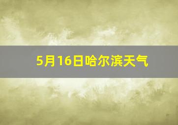 5月16日哈尔滨天气