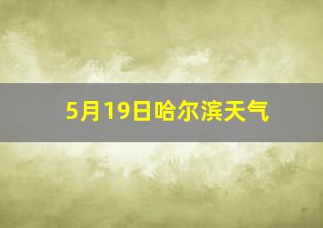 5月19日哈尔滨天气