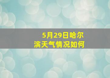 5月29日哈尔滨天气情况如何