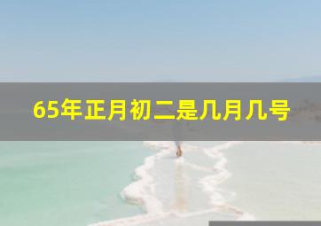 65年正月初二是几月几号