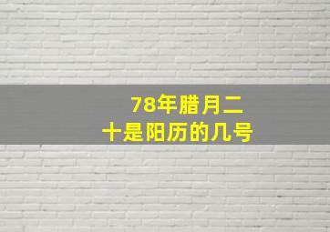 78年腊月二十是阳历的几号