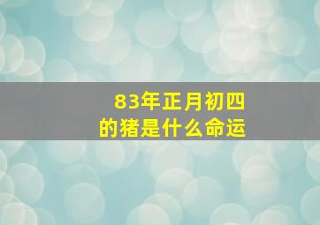 83年正月初四的猪是什么命运