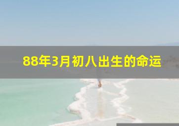 88年3月初八出生的命运