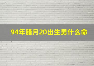 94年腊月20出生男什么命