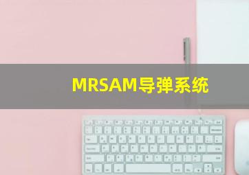 MRSAM导弹系统