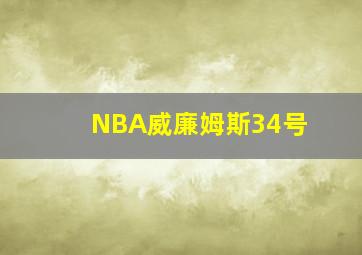 NBA威廉姆斯34号